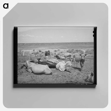 アートパネル-Nyssa Heights Cattle
 - ラッセル リー Canvas.