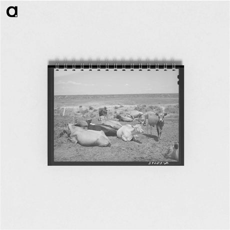 アートメモ帳-Nyssa Heights Cattle
 - ラッセル リー Memo.