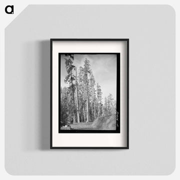 Long Bell Lumber Company
 - ラッセル リー Poster.