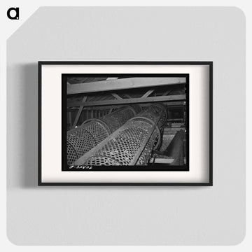 Mechanical Hop Picker Rollers
 - ラッセル リー Poster.