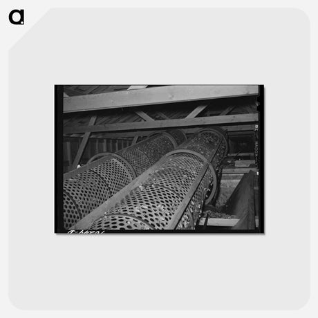 アートポストカード-Mechanical Hop Picker Rollers
 - ラッセル リー Postcard.