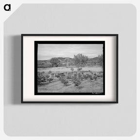 アートポスター-Irrigated Farm at Amalia
 - ラッセル リー Poster.