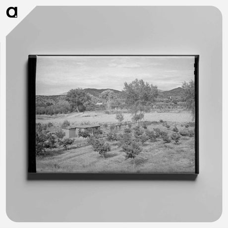 アートパネル-Irrigated Farm at Amalia
 - ラッセル リー Canvas.