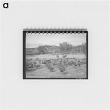 アートメモ帳-Irrigated Farm at Amalia
 - ラッセル リー Memo.