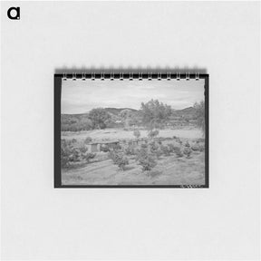アートメモ帳-Irrigated Farm at Amalia
 - ラッセル リー Memo.
