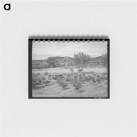 アートメモ帳-Irrigated Farm at Amalia
 - ラッセル リー Memo.