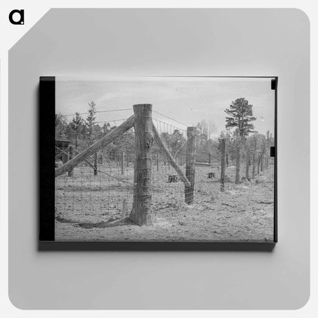 アートパネル-Sabine Farms Barn Lot
 - ラッセル リー Canvas.