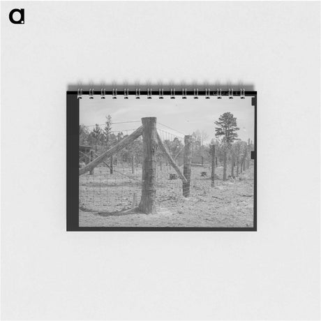 アートメモ帳-Sabine Farms Barn Lot
 - ラッセル リー Memo.