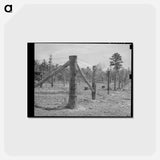 アートポストカード-Sabine Farms Barn Lot
 - ラッセル リー Postcard.