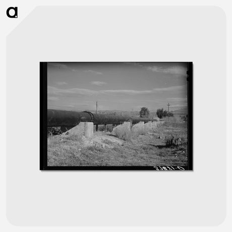 アートポストカード-FSA Irrigation Pipeline
 - ラッセル リー Postcard.