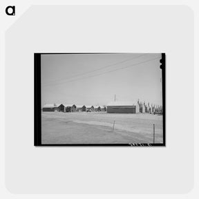 アートポストカード-Aqua Fria Shelters
 - ラッセル リー Postcard.