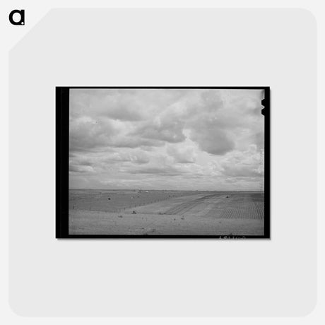 アートポストカード-Dead Ox Flat
 - ラッセル リー Postcard.