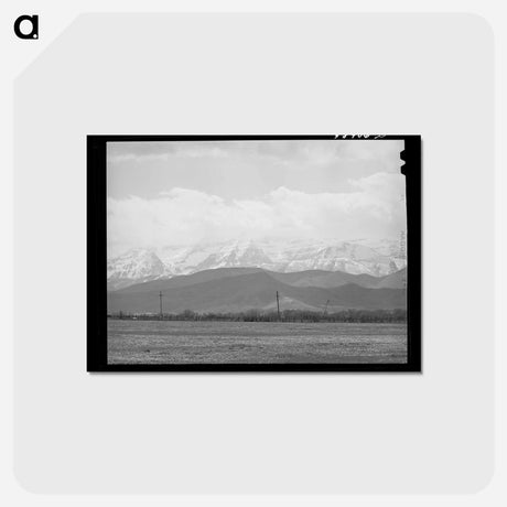 アートポストカード-Spring Pasture, Uinta Mountains
 - ラッセル リー Postcard.