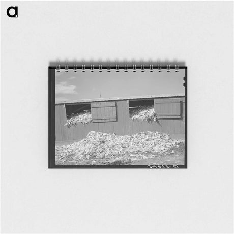 アートメモ帳-San Angelo Corn Shed
 - ラッセル リー Memo.