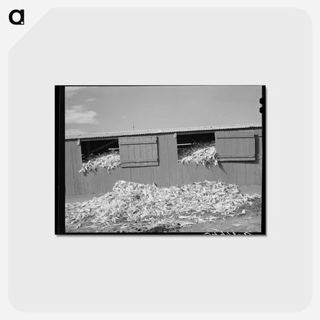 アートポストカード-San Angelo Corn Shed
 - ラッセル リー Postcard.