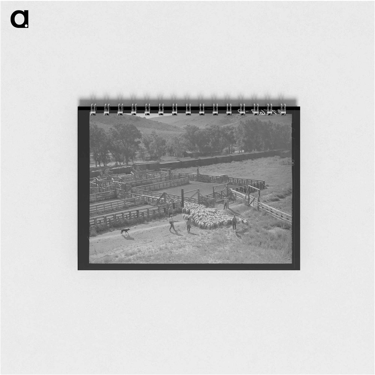 アートメモ帳-Cimarron Lambs
 - ラッセル リー Memo.
