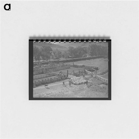 アートメモ帳-Cimarron Lambs
 - ラッセル リー Memo.