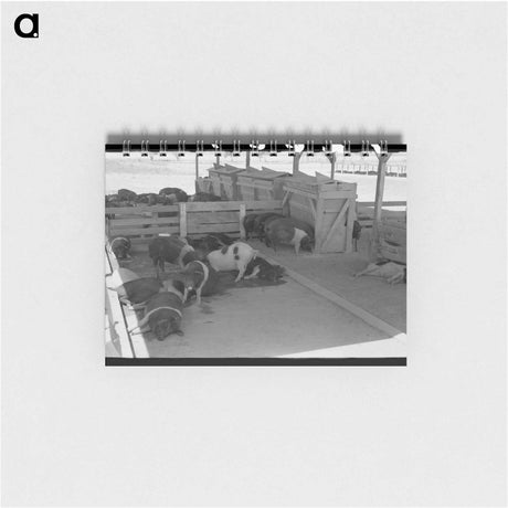 アートメモ帳-Hogs at Casa Grande Valley Farms
 - ラッセル リー Memo.