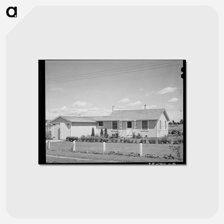 アートポストカード-Manager's House, FSA Farm Labor Camp
 - ラッセル リー Postcard.