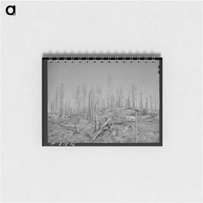 アートメモ帳-Burned Over Forest Land
 - ラッセル リー Memo.