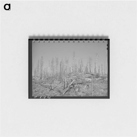 アートメモ帳-Burned Over Forest Land
 - ラッセル リー Memo.