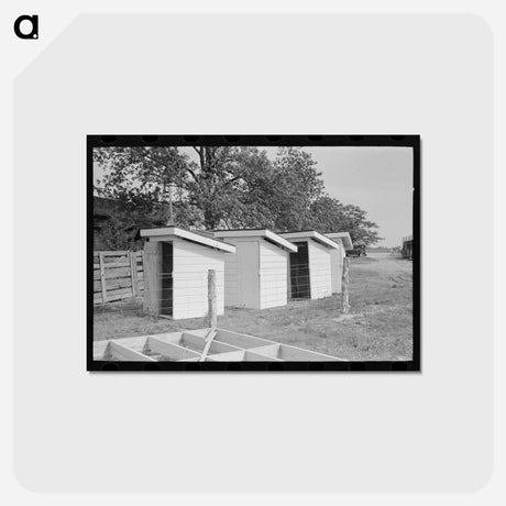 アートポストカード-Privies
 - ラッセル リー Postcard.