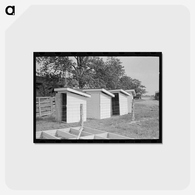 アートポストカード-Privies
 - ラッセル リー Postcard.