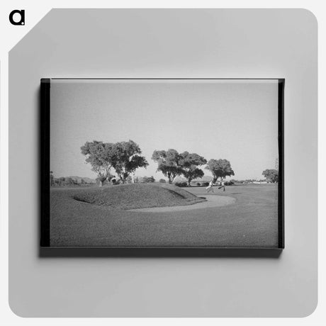 アートパネル-Phoenix Municipal Golf
 - ラッセル リー Canvas.
