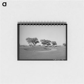 アートメモ帳-Phoenix Municipal Golf
 - ラッセル リー Memo.