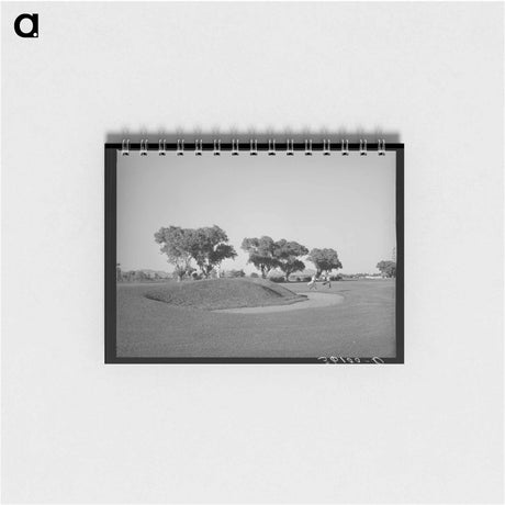 アートメモ帳-Phoenix Municipal Golf
 - ラッセル リー Memo.