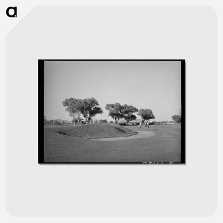 アートポストカード-Phoenix Municipal Golf
 - ラッセル リー Postcard.