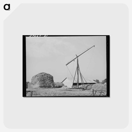 アートポストカード-Hay on Farm
 - ラッセル リー Postcard.