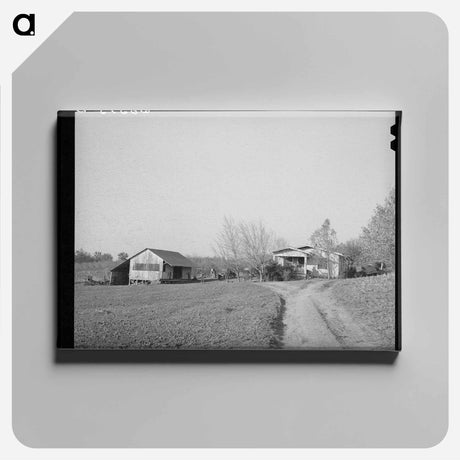 アートパネル-Fruit Farmer's Homestead
 - ラッセル リー Canvas.