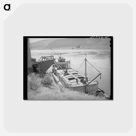 アートポストカード-Loading Wheat on the Columbia River
 - ラッセル リー Postcard.