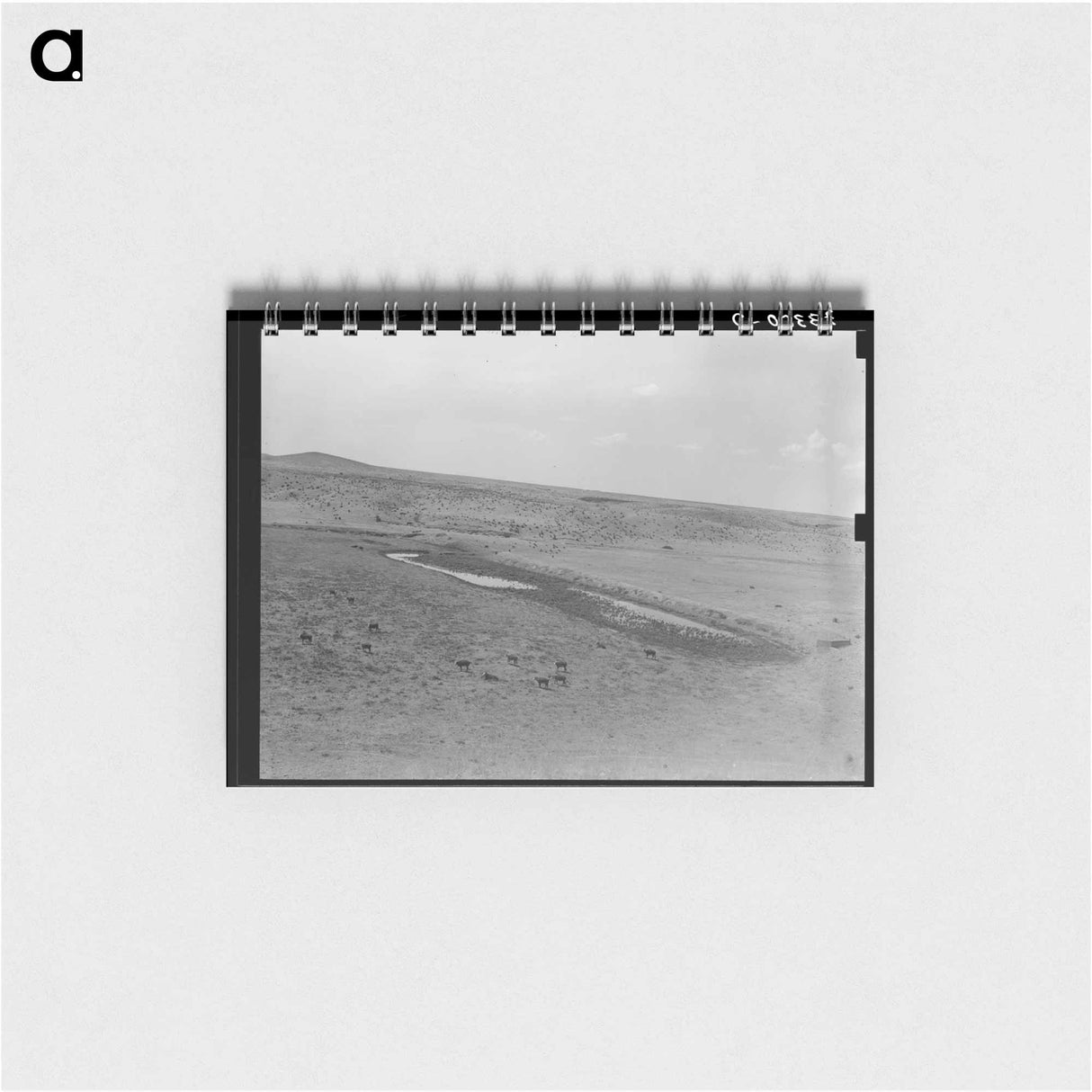 アートメモ帳-Marfa Ranch Waterhole
 - ラッセル リー Memo.