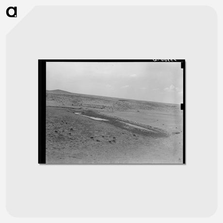 アートポストカード-Marfa Ranch Waterhole
 - ラッセル リー Postcard.