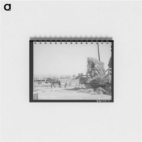 アートメモ帳-Mormon Hay Stacker
 - ラッセル リー Memo.