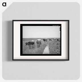 アートポスター-Browning's Cows, Dead Ox Flat
 - ラッセル リー Poster.