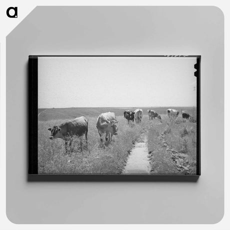 アートパネル-Browning's Cows, Dead Ox Flat
 - ラッセル リー Canvas.