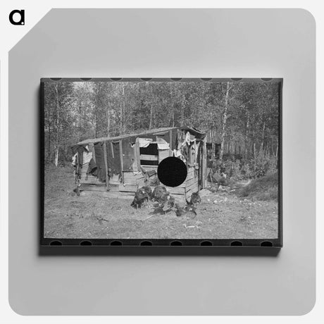 アートパネル-Shed and Turkeys on Cut-Over Farm
 - ラッセル リー Canvas.