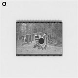 アートメモ帳-Shed and Turkeys on Cut-Over Farm
 - ラッセル リー Memo.