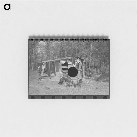 アートメモ帳-Shed and Turkeys on Cut-Over Farm
 - ラッセル リー Memo.