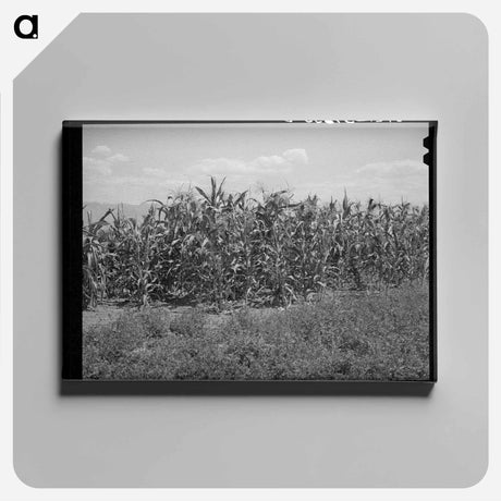 アートパネル-Corn and Alfalfa
 - ラッセル リー Canvas.