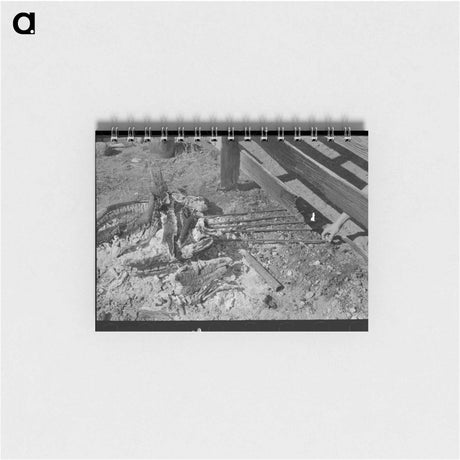 アートメモ帳-Branding Irons
 - ラッセル リー Memo.