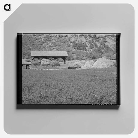 アートパネル-Alfalfa Field and Hay Barn
 - ラッセル リー Canvas.