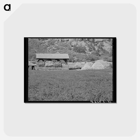 アートポストカード-Alfalfa Field and Hay Barn
 - ラッセル リー Postcard.