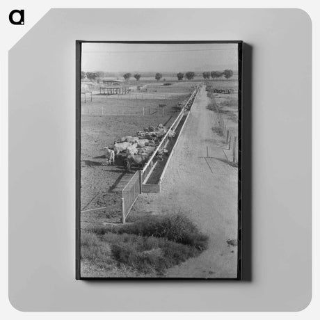 アートパネル-Dairy Cattle at the Feed Trough
 - ラッセル リー Canvas.
