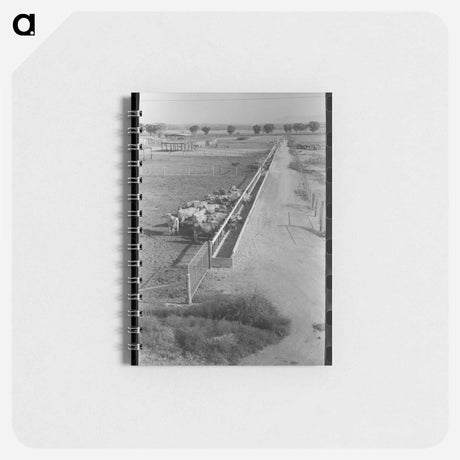 アートメモ帳-Dairy Cattle at the Feed Trough
 - ラッセル リー Memo.