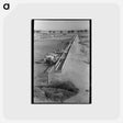 アートポストカード-Dairy Cattle at the Feed Trough
 - ラッセル リー Postcard.