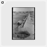 アートポストカード-Dairy Cattle at the Feed Trough
 - ラッセル リー Postcard.
